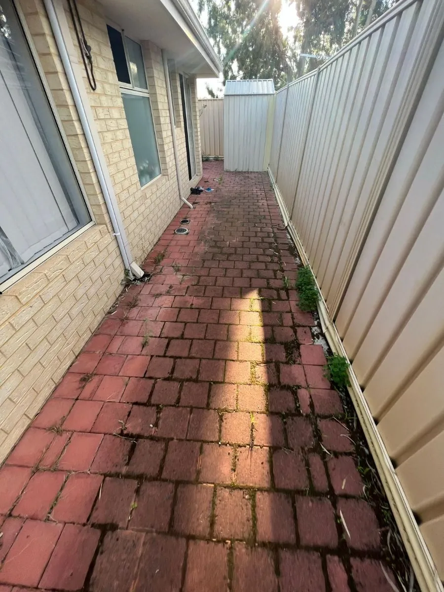 Clay brick path before cleaning