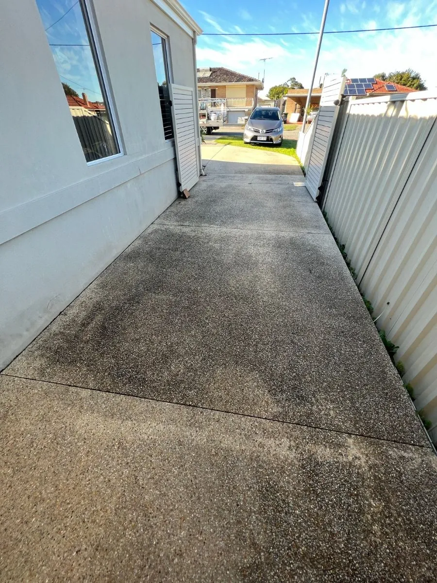 Concrete path before cleaning