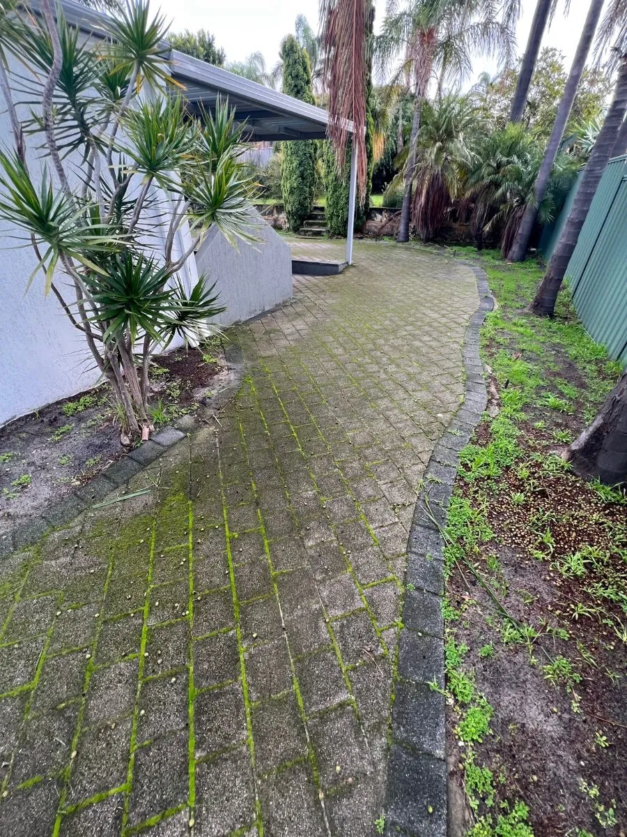 Paver path before cleaning