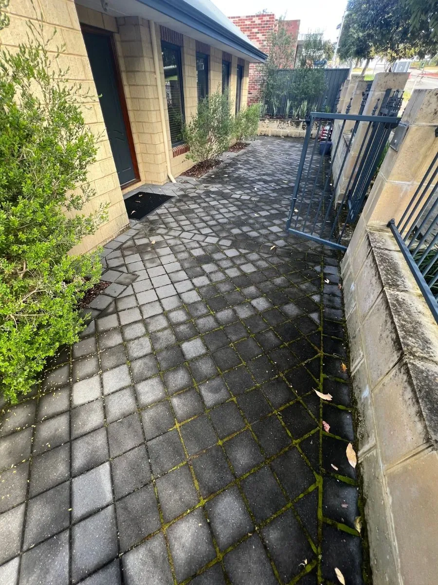 Paver path before cleaning