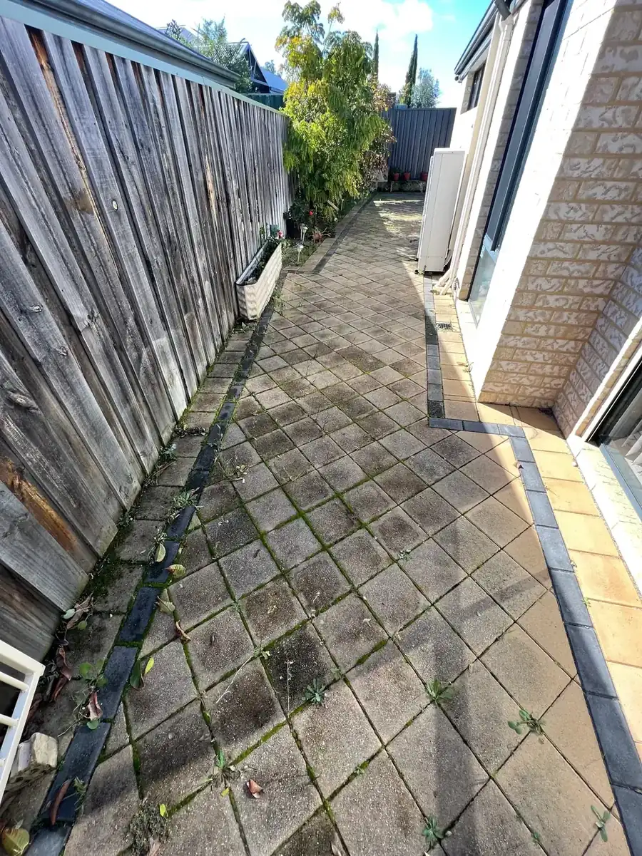 Paver path before cleaning, greened and stained