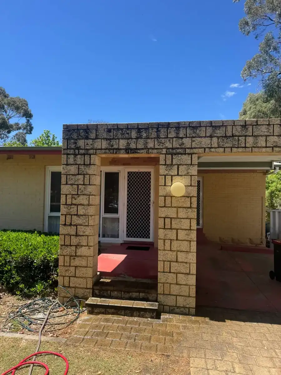 Brick wall before a soft wash