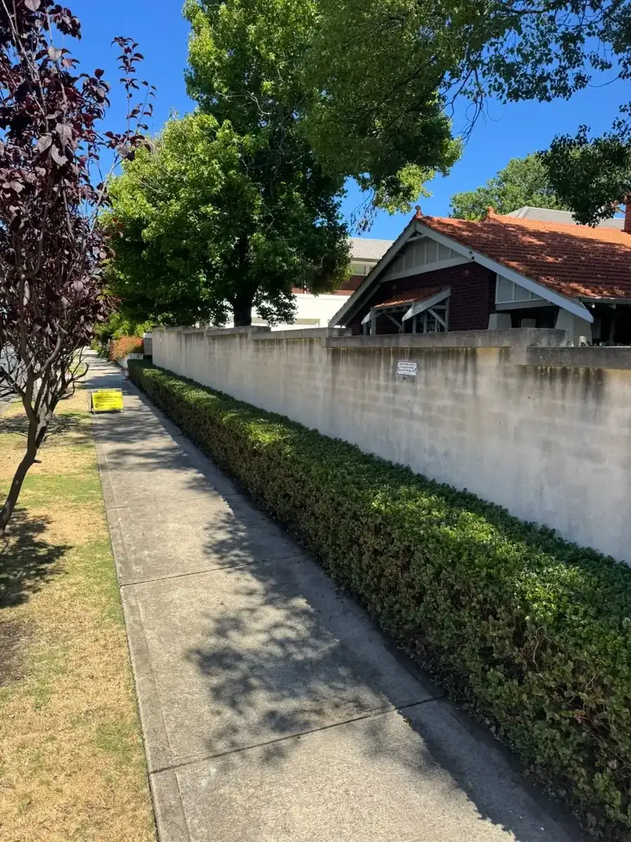 Limestone boundary wall before a soft wash, stained along the base